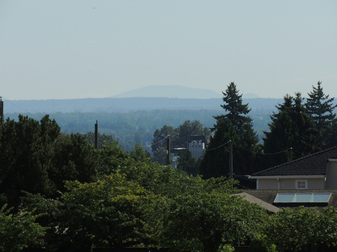 Top and Best Copywriting Agencies and Companies in Hillsboro, Oregon