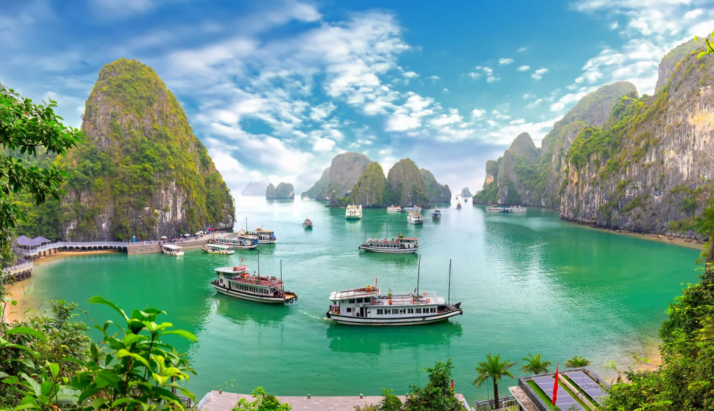 Top or Best Talent Management Agencies and Companies in Vietnam