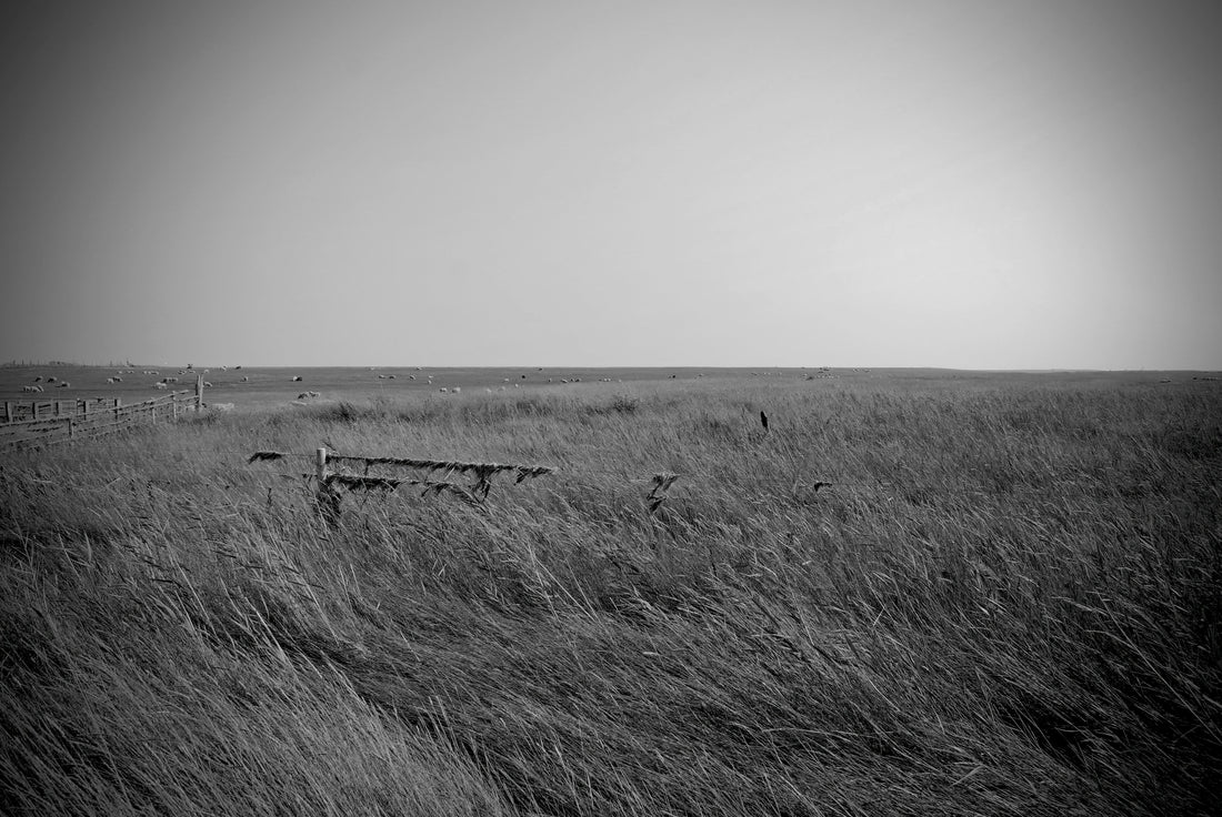 Top or Best Web and Mobile Design Agencies and Companies in Emporia, Kansas