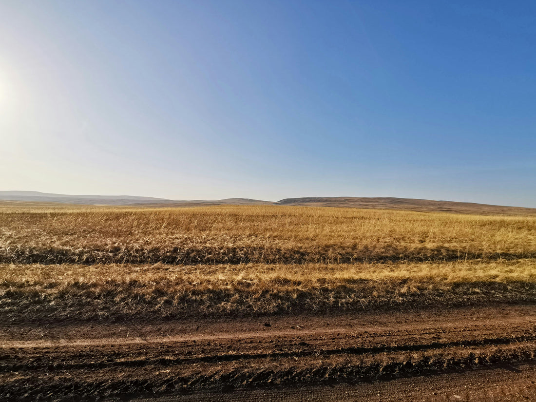 Top or Best Graphic Design Subscription Agencies and Companies in Emporia, Kansas