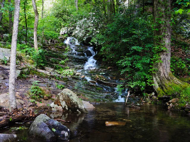 Top or Best Infographic Design Agencies and Companies in Spanish Fort, Alabama