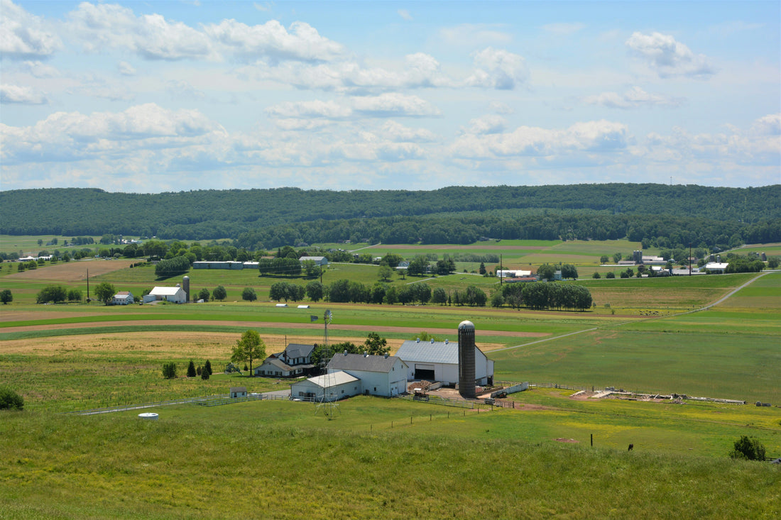 Top and Best Business Card Design Agencies and Companies in Middletown, New Jersey