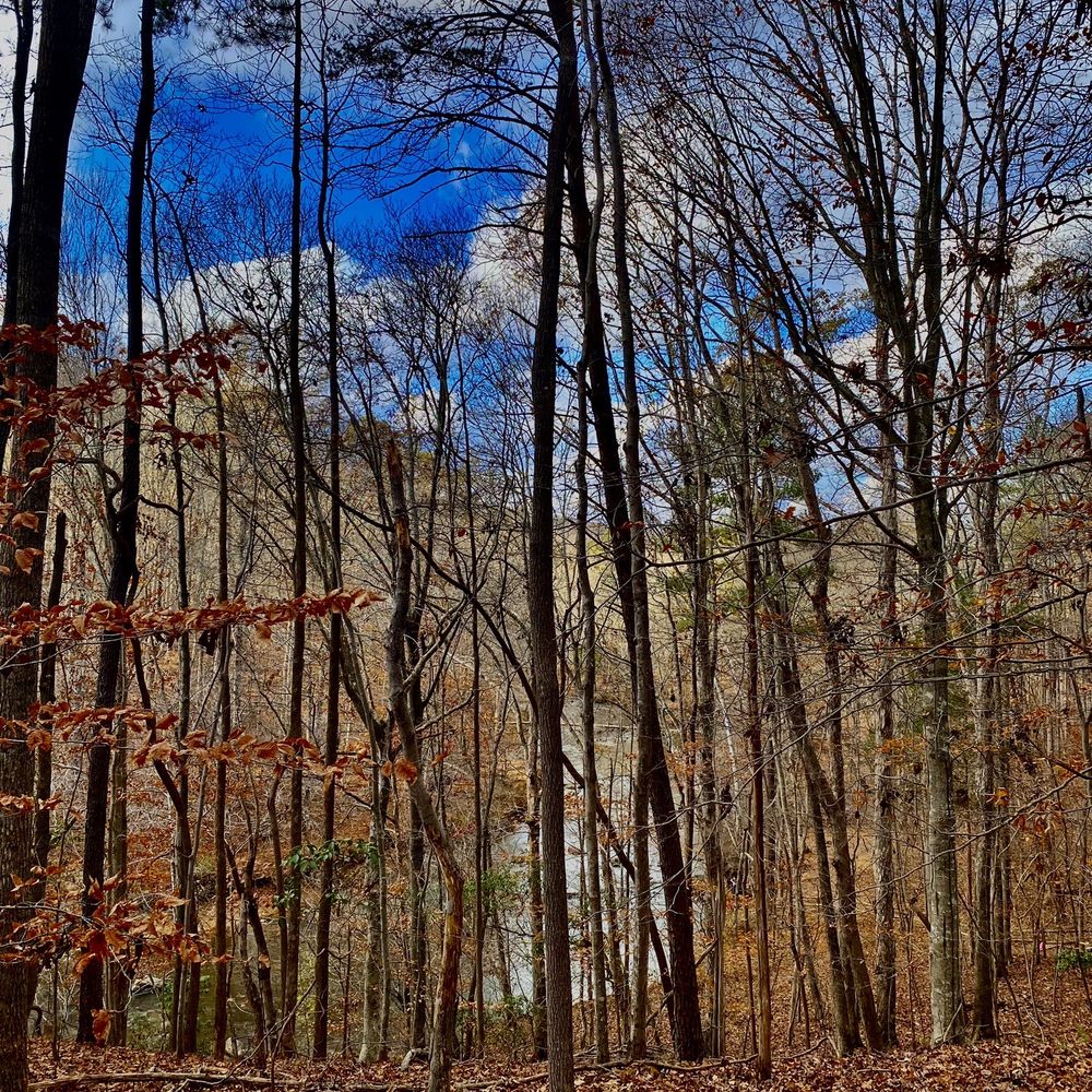 Top or Best Postcard Design Agencies and Companies in Chapel Hill, North Carolina