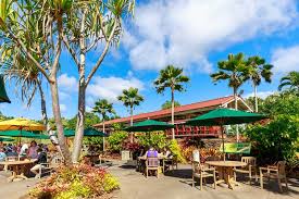 Top or Best Logo Design Agencies and Companies in Wahiawā, Hawaii