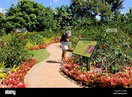Top or Best Business Card Design Agencies and Companies in Wahiawā, Hawaii
