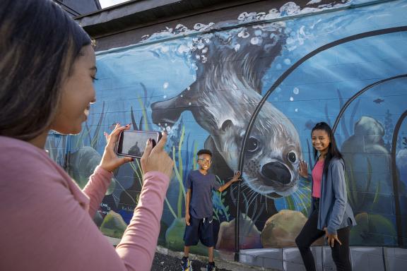 Top or Best Mural Design Agencies and Companies in Wahpeton, North Dakota