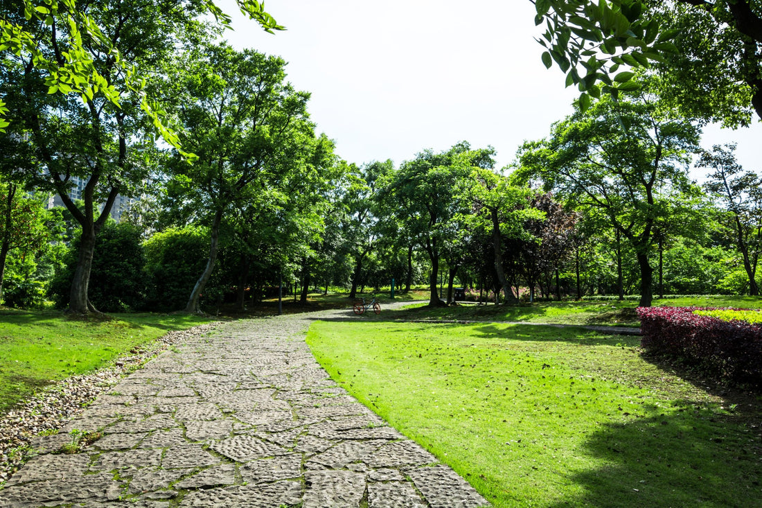 Top or Best Mural Design Agencies and Companies in Brooklyn Park, Minnesota
