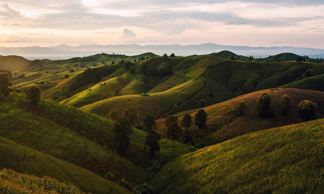 Top and Best Instagram Management Agencies and Companies in Rapid Valley, South Dakota