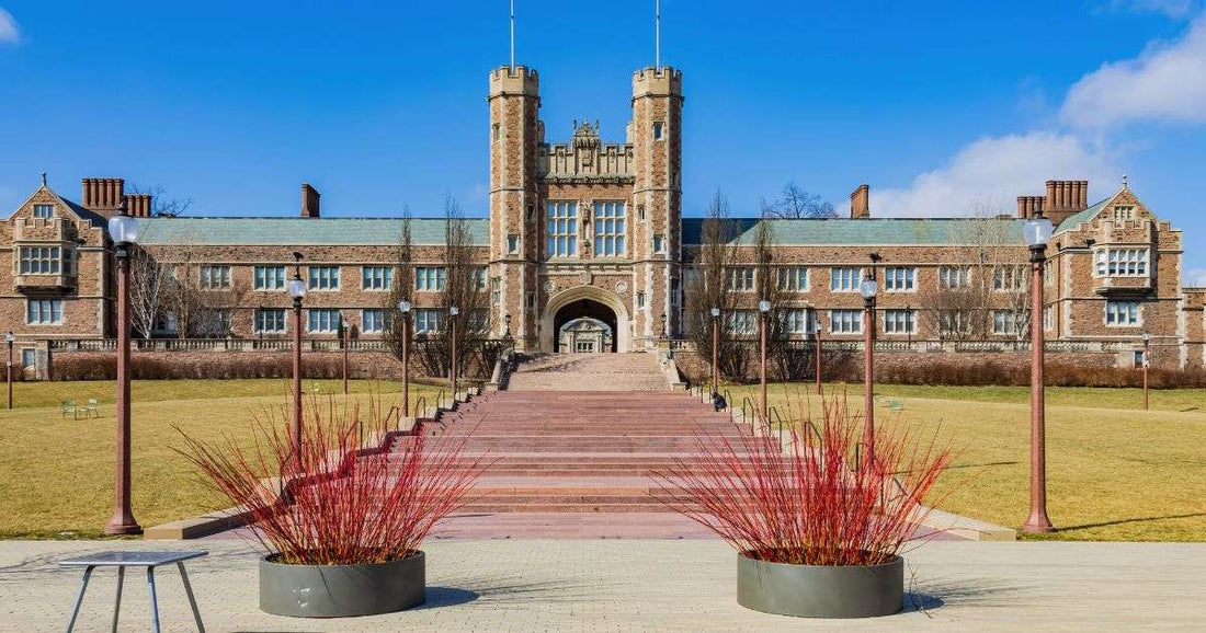 Top or Best Social Media Management Agencies and Companies in University City, Missouri