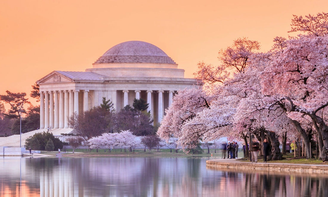 Top or Best Talent Management Agencies and Companies in Washington, DC