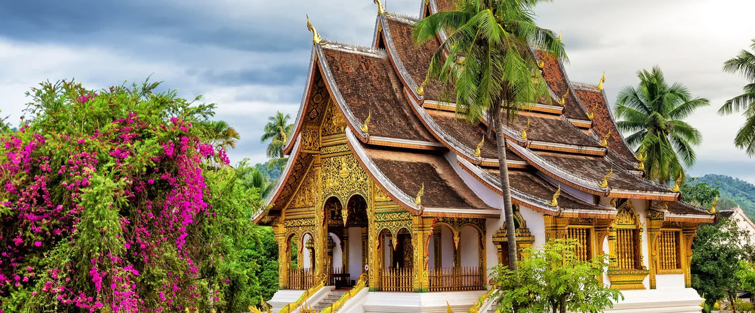 Top or Best Talent Management Agencies and Companies in Cambodia