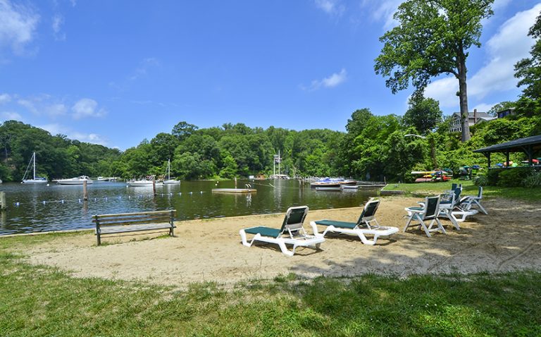 Top or Best Animation & Motion Graphics