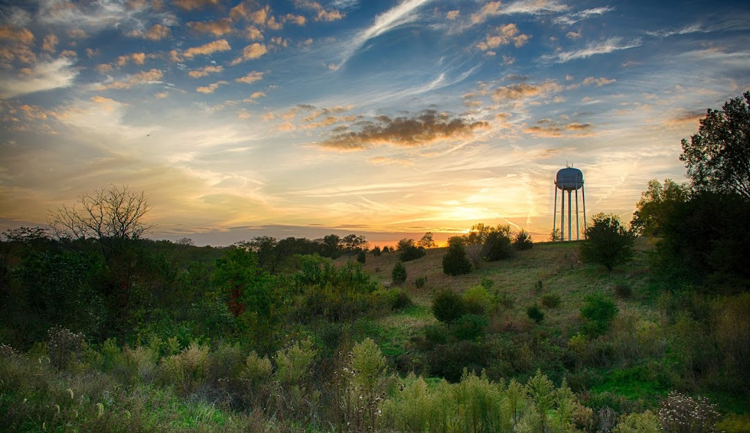 Top Business Card Design Agencies and Companies in Waukee, Iowa