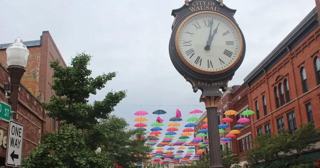 Top or Best Infographic Design Agencies and Companies in Wausau, Wisconsin