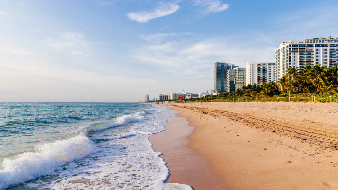 Top or Best Website Design Agencies and Companies in Miami Beach, Florida