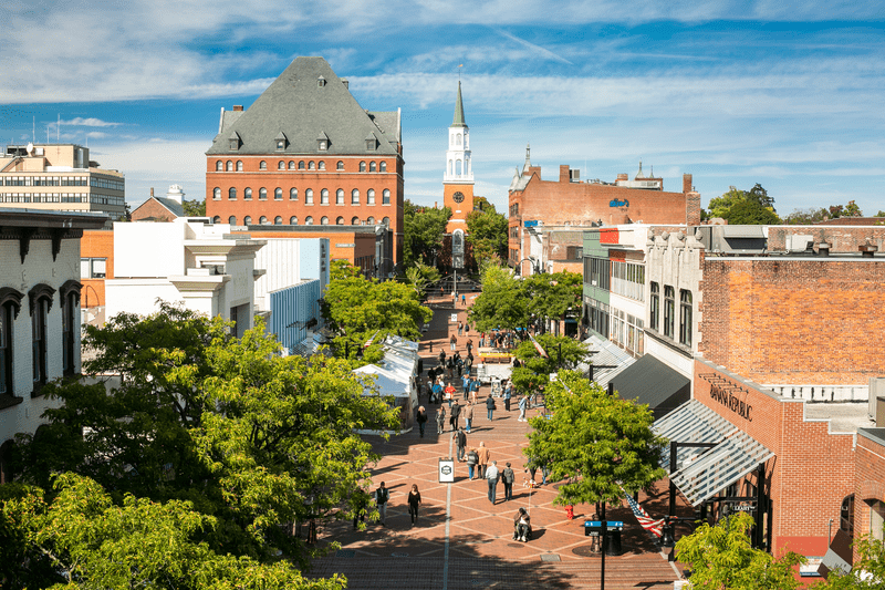 Top or Best Drawing & Illustration Agencies and Companies in Burlington, Vermont