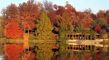 Top or Best Postcard Design Agencies and Companies in Overland Park, Kansas