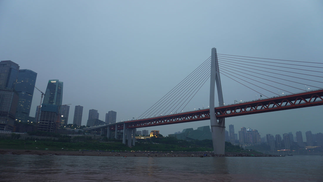 Top or Best YouTube Management Agencies and Companies in Chongqing, China