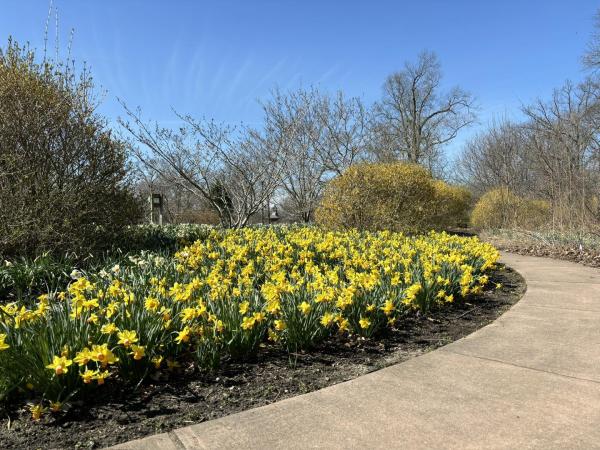 Top or Best Graphics for Streamers Agencies and Companies in Elkhart, Indiana