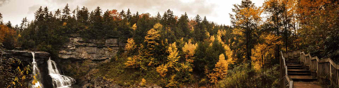 Top or Best AR Filters and Lenses Agencies and Companies in Teays Valley, West Virginia