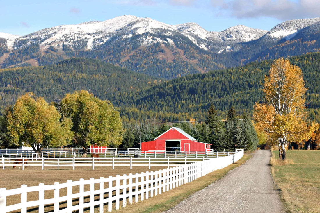 Top and Best Direct Mail Design Agencies and Companies in Whitefish, Montana
