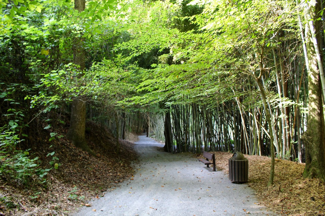 Top or Best Graphics for Streamers Agencies and Companies in Prattville, Alabama