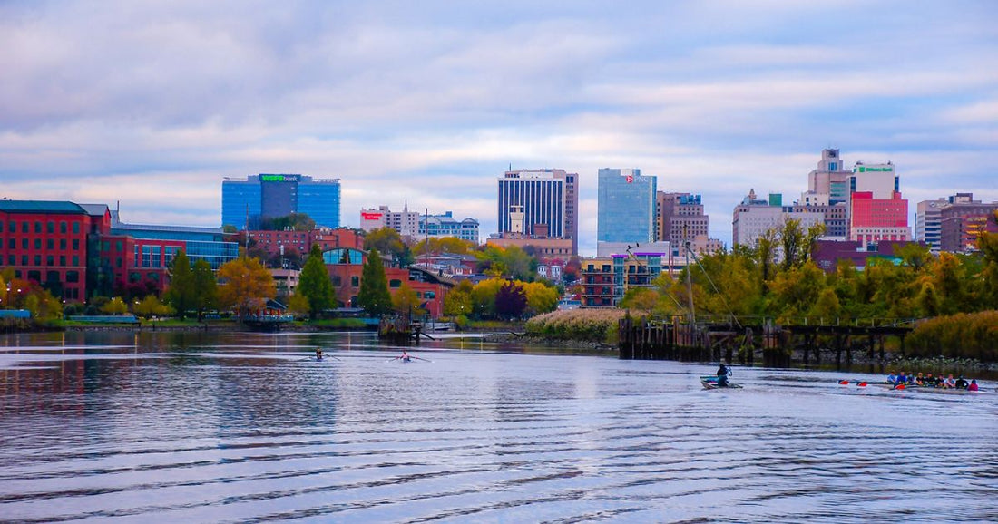 Top or Best Infographics Design Agencies and Companies in Wilmington, Delaware