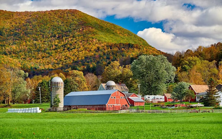 Top or Best Website Design Agencies and Companies in Windham, Maine