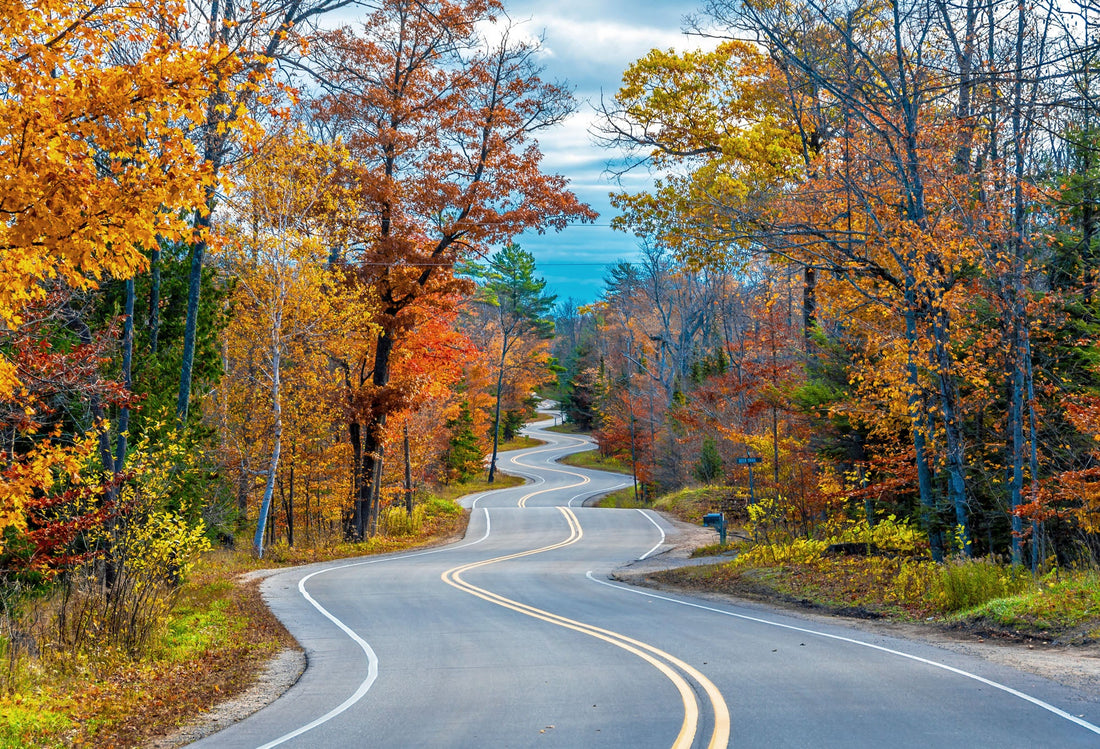 Top 5 Infographic Design Agencies in Wisconsin