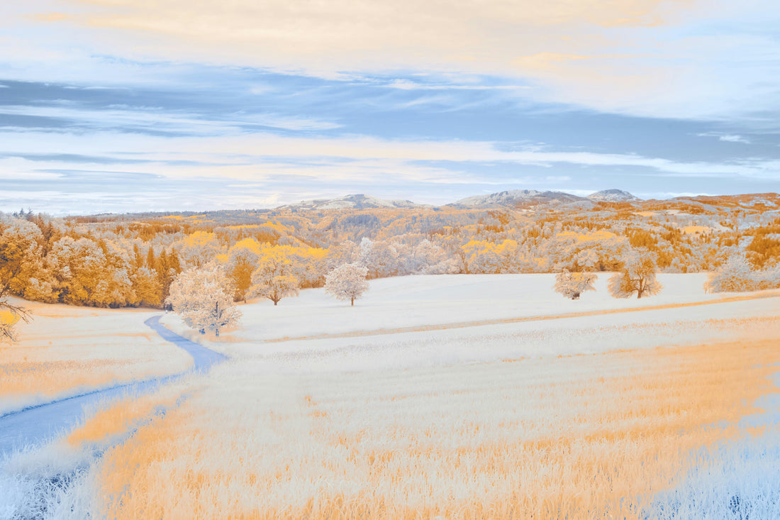 Top and Best Website Design Agencies and Companies in Torrington, Wyoming