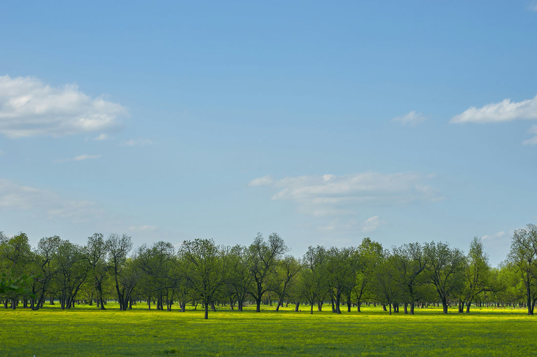 Top or Best Catalog Design Agencies and Companies in Emporia, Kansas