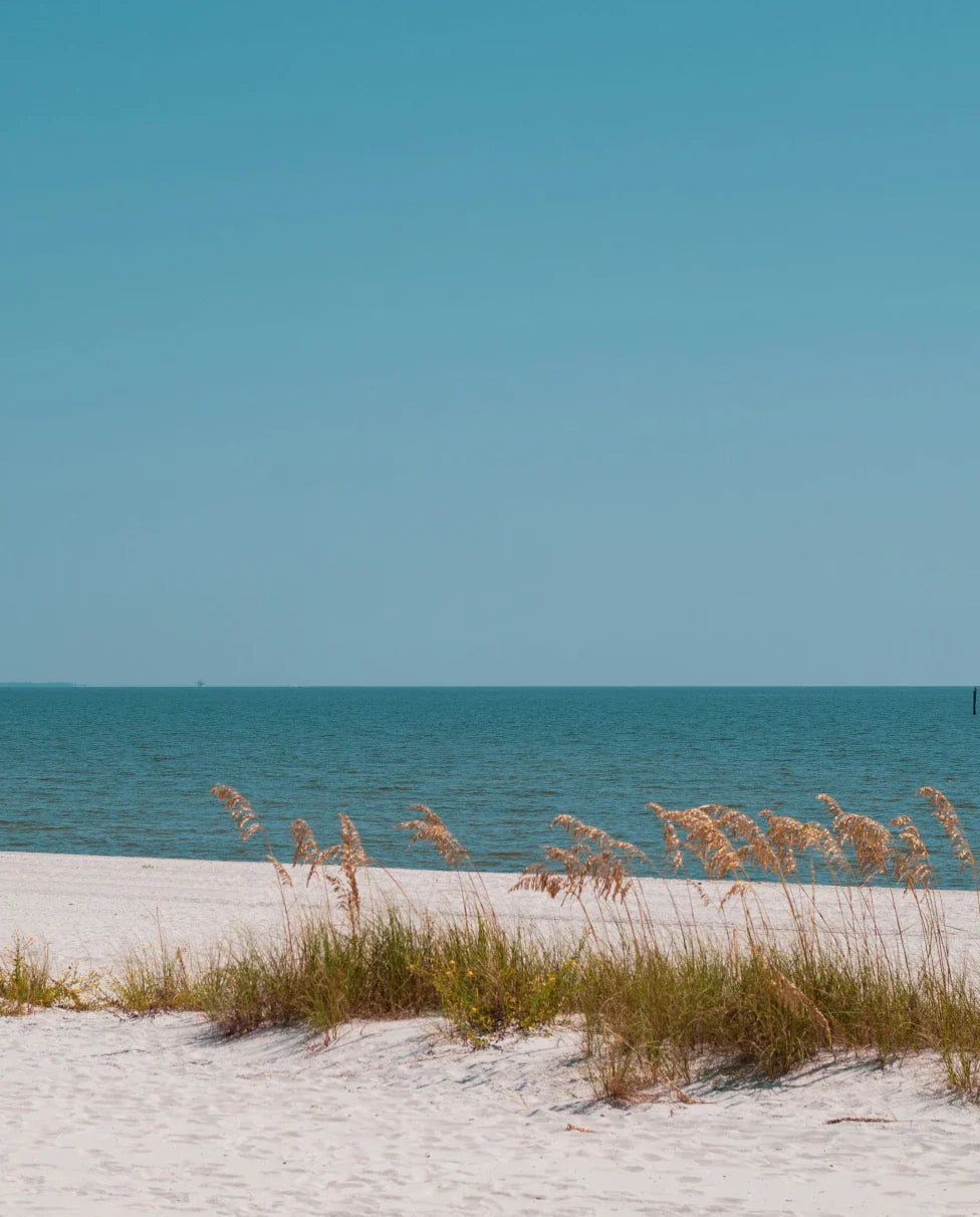 Top or Best Instagram Management Agencies and Companies in Biloxi, Mississippi