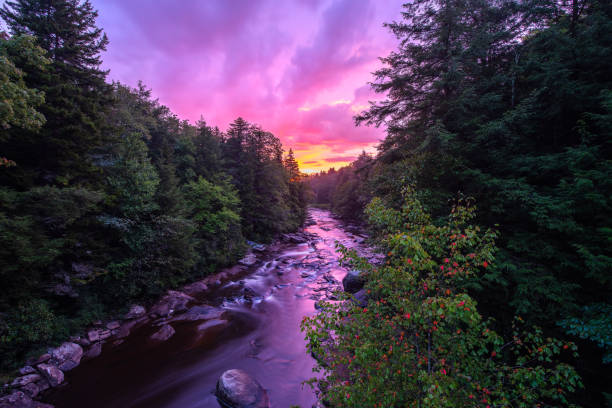 Top or Best Snapchat Management Agencies and Companies in West Virginia