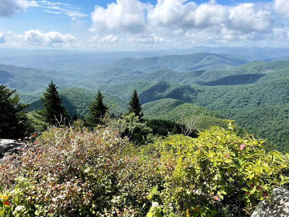 Top or Best Website Design Agencies and Companies in Asheville, North Carolina