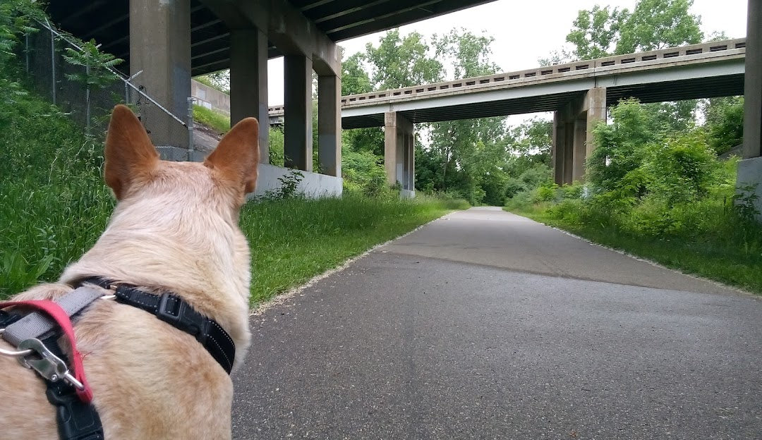 Top or Best Storyboards Agencies and Companies in Wyoming, Michigan