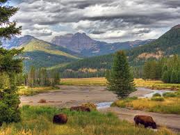 Top 5 Photography & Photo Editing Agencies in Wyoming