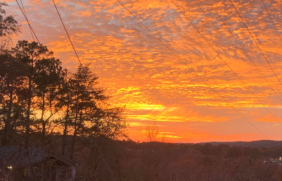 Top or Best Presentation Design Agencies and Companies in Spanish Fort, Alabama