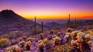 Top or Best Animation and Motion Graphics Design Agencies and Companies in Peoria, Arizona