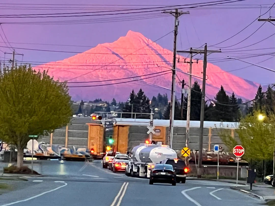 Top or Best Poster Design Agencies and Companies in Marysville, Washington