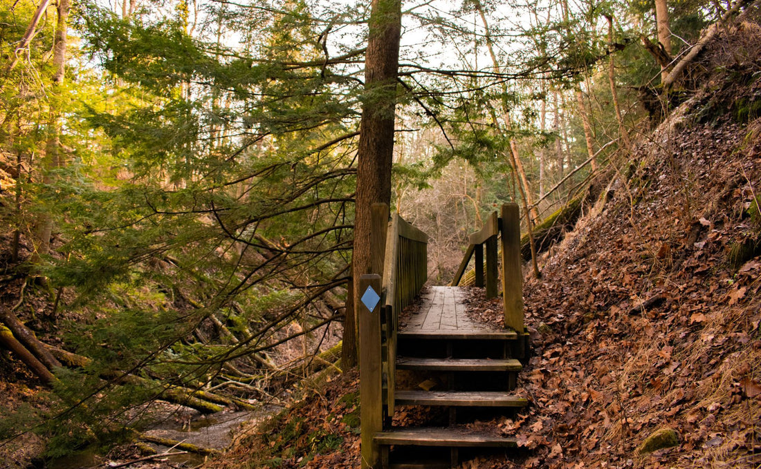 Top or Best Cartoons and Comics Agencies and Companies in Wheeling, West Virginia