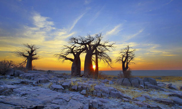 Best Youtube Management Companies in Botswana
