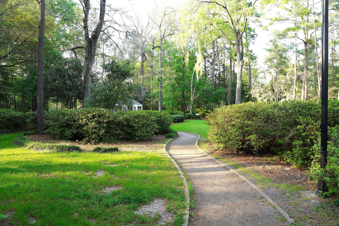 Top or Best Video Editing Agencies and Companies in Summerville, South Carolina
