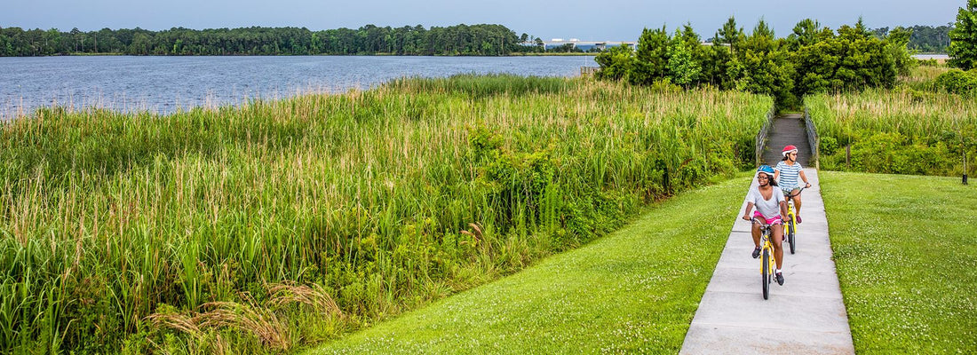 Top or Best Postcard Design Agencies and Companies in Jacksonville, North Carolina