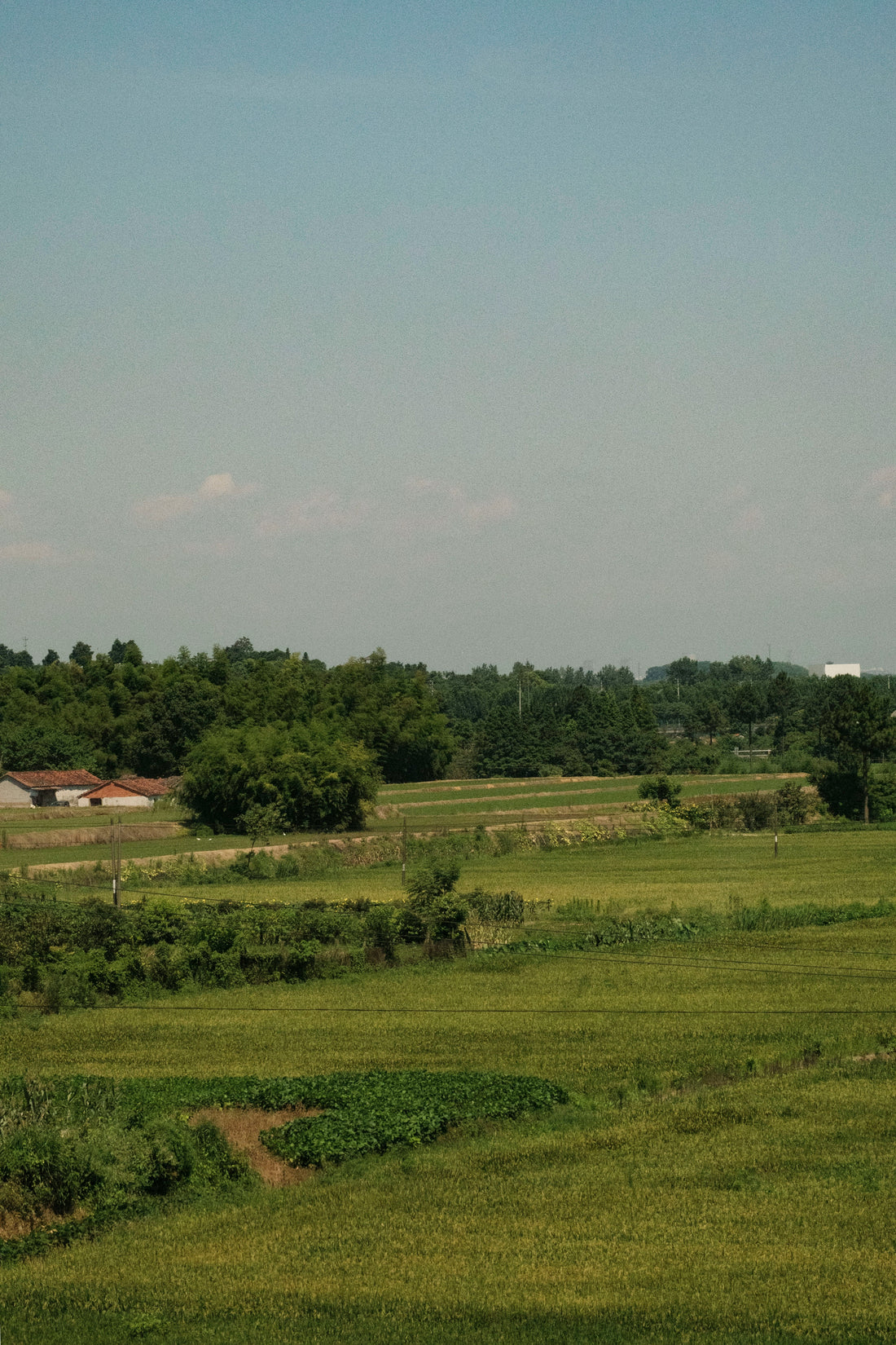 Top or Best Cartoons and Comics Agencies and Companies in Middletown, New Jersey