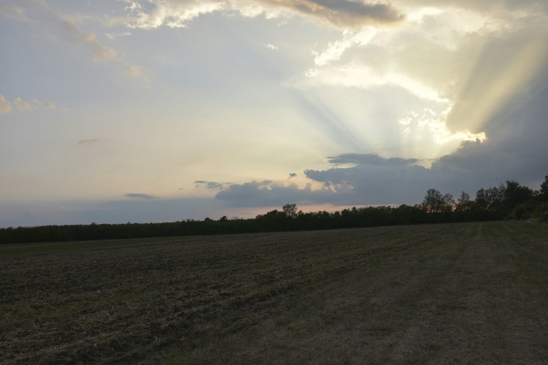 Top or Best Email Campaign Design Agencies and Companies in Emporia, Kansas