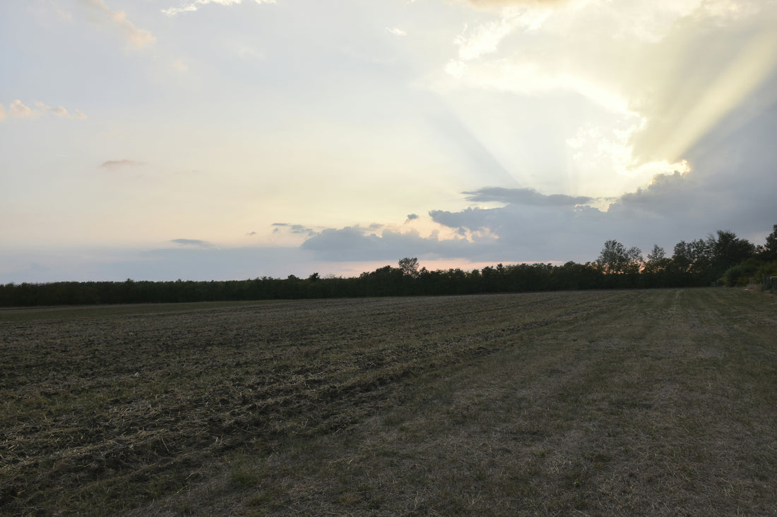 Top or Best Virtual Background Design Agencies and Companies in Emporia, Kansas