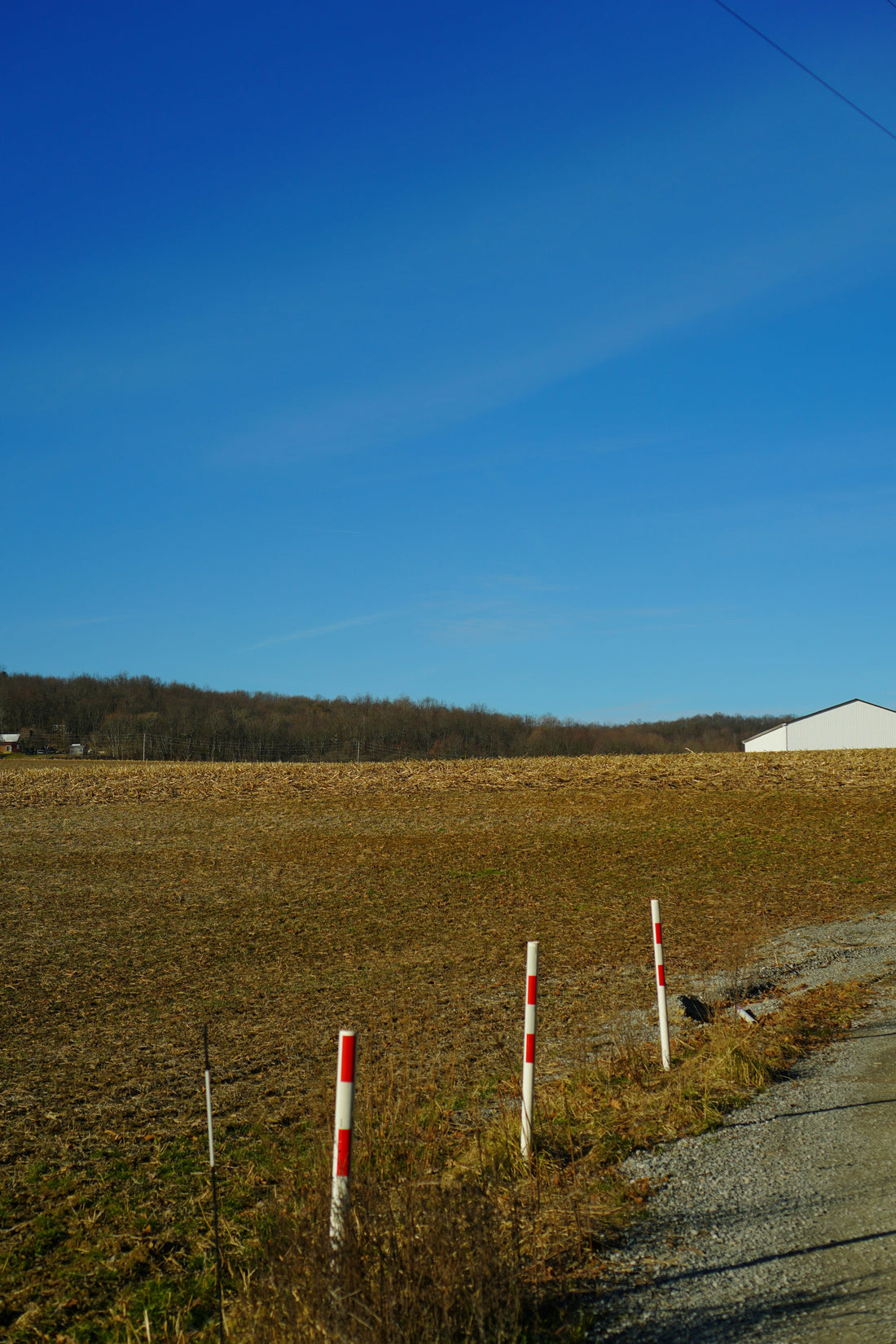 Top or Best NFT Art Agencies and Companies in Middletown, New Jersey